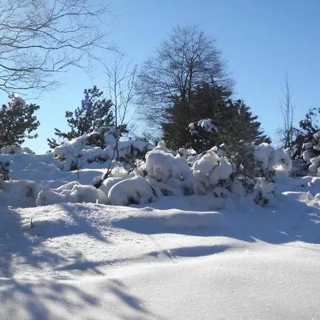 Natur-retreat In Dreislar